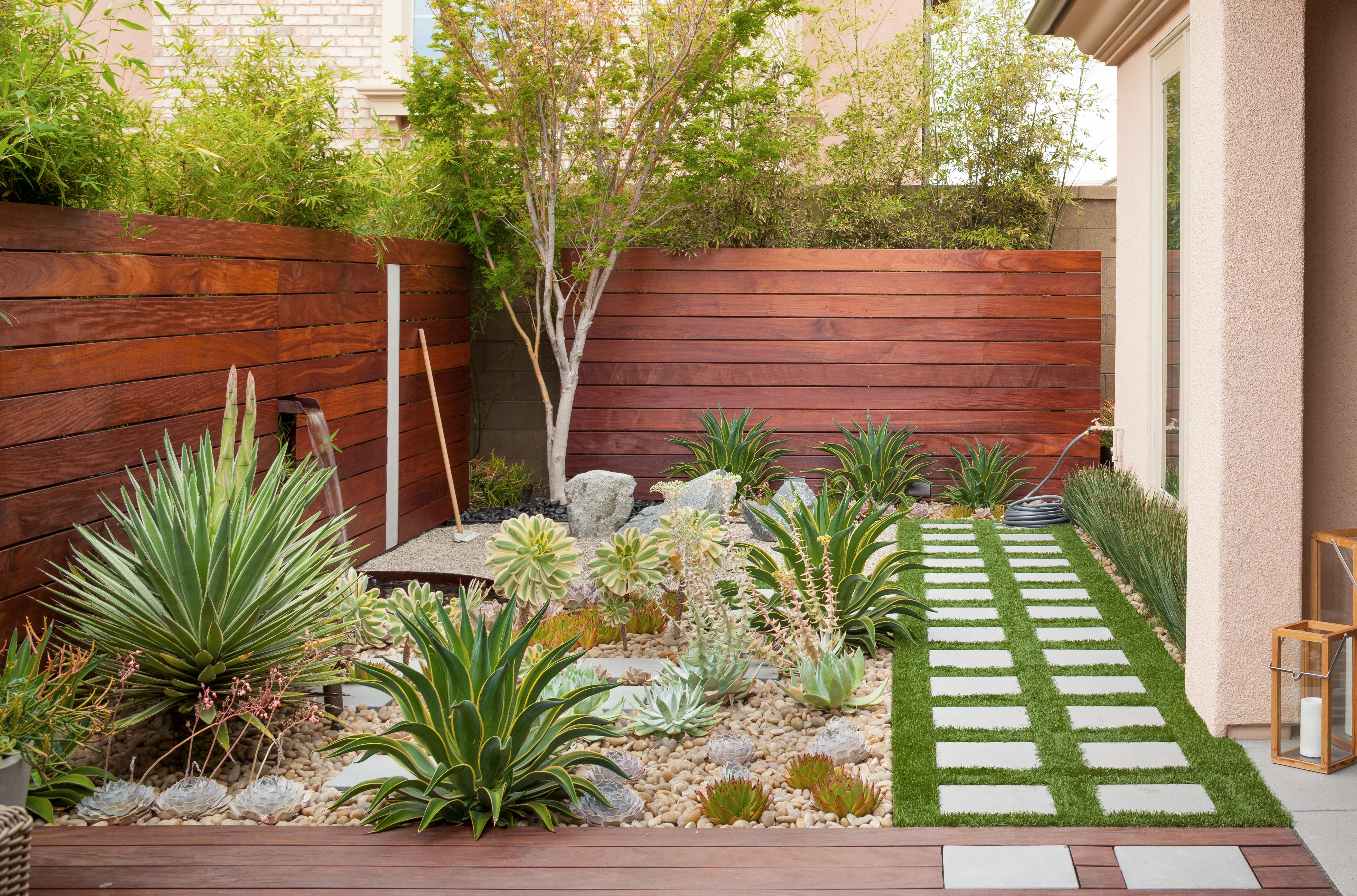 backyard garden
