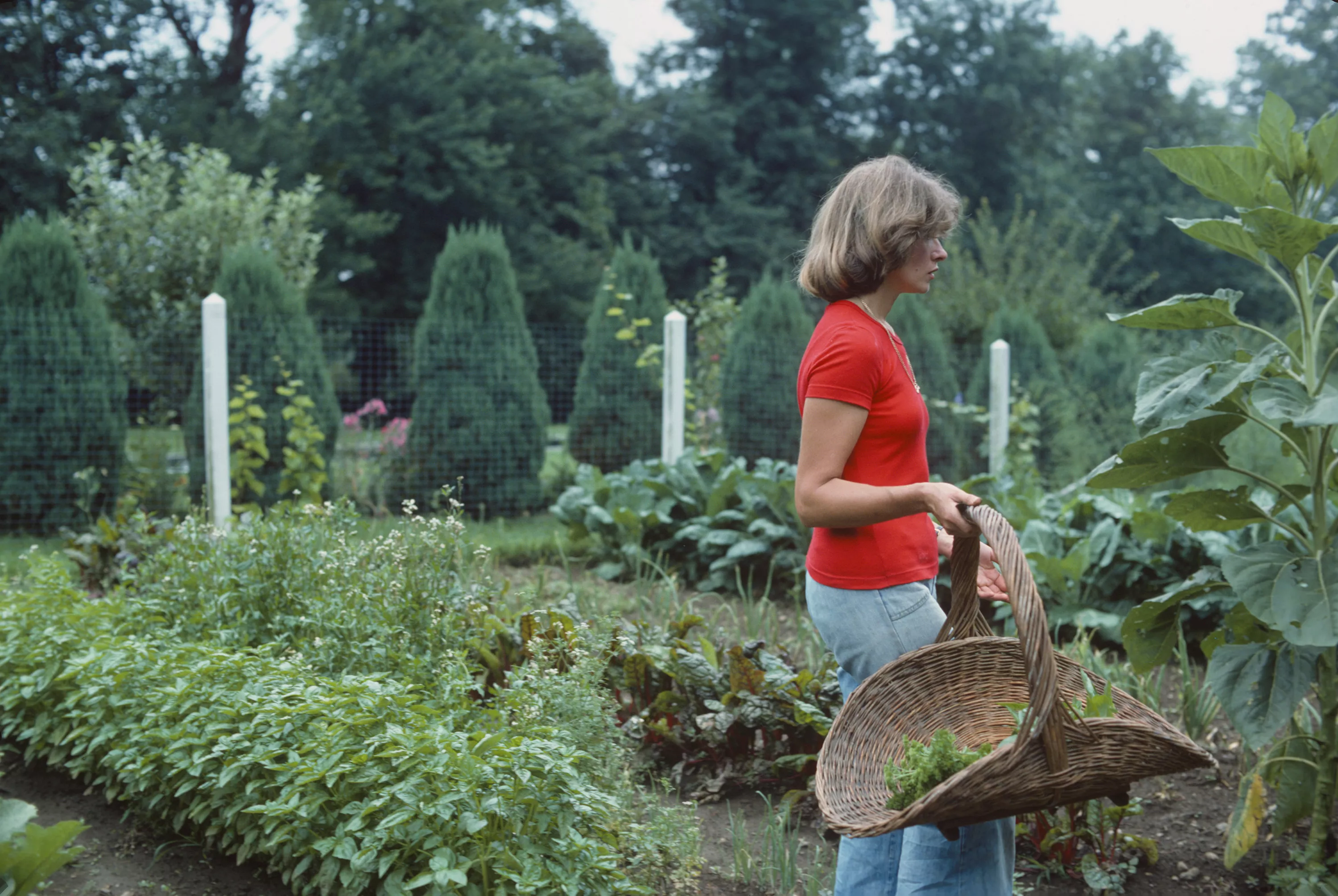 martha stewart walking with basket in garden