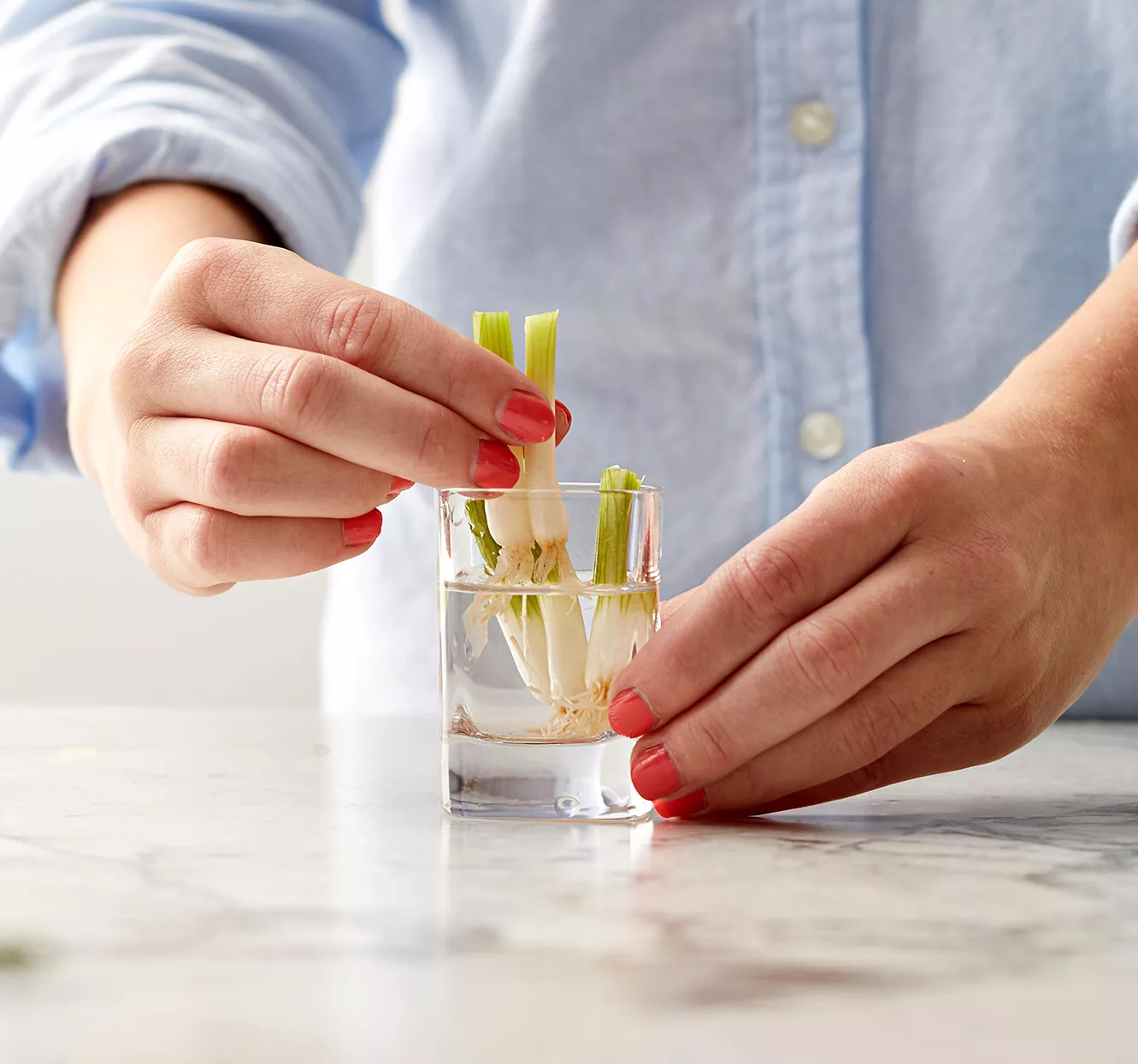 How to Regrow Green Onions from Scraps for a (Nearly) Never-Ending Supply